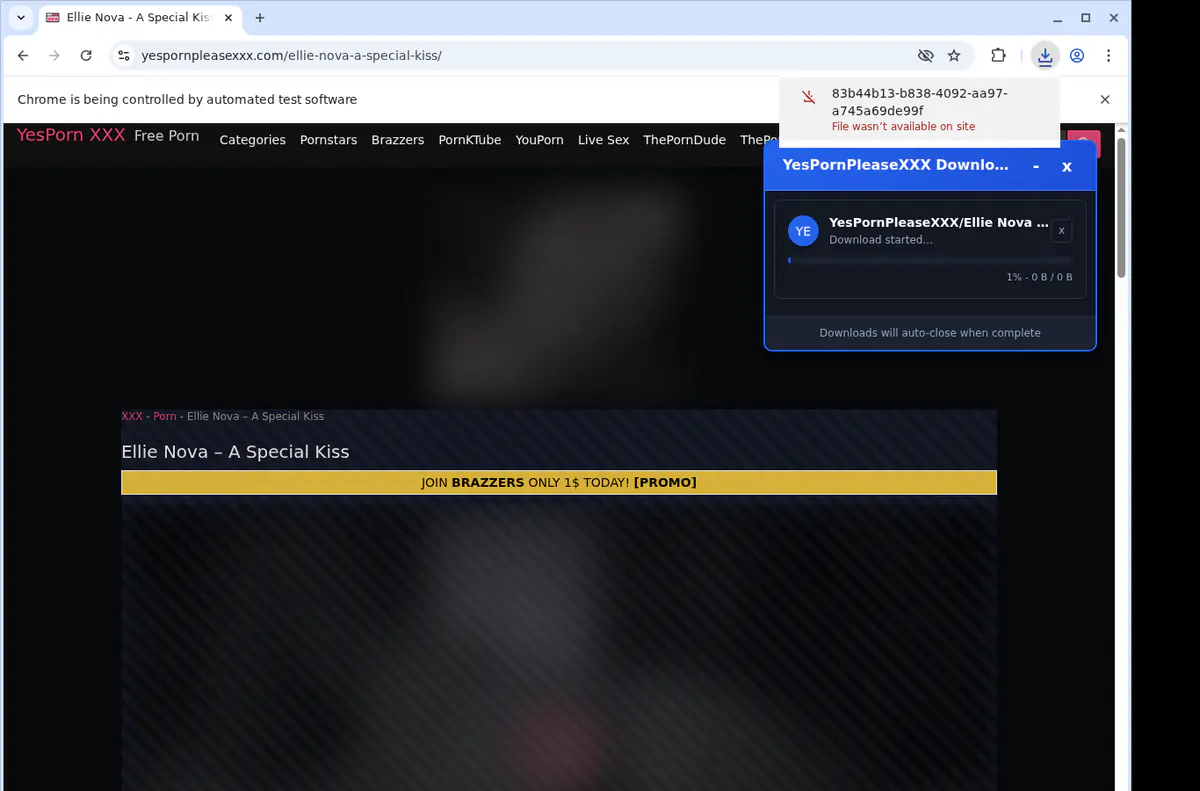 Yespornpleasexxx Video Downloader screenshot 2