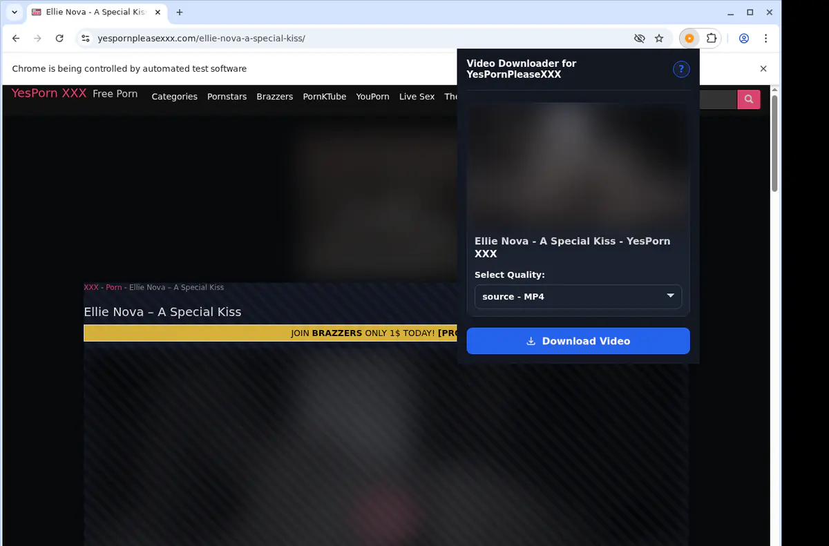 Yespornpleasexxx Video Downloader screenshot 3